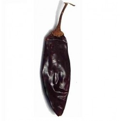 Getrockener Chili Guajillo 100gr